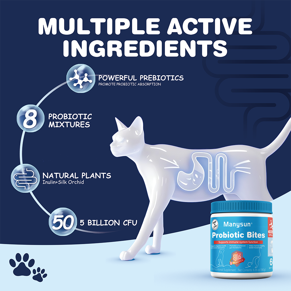Manysun Probiotic Bites 🐾