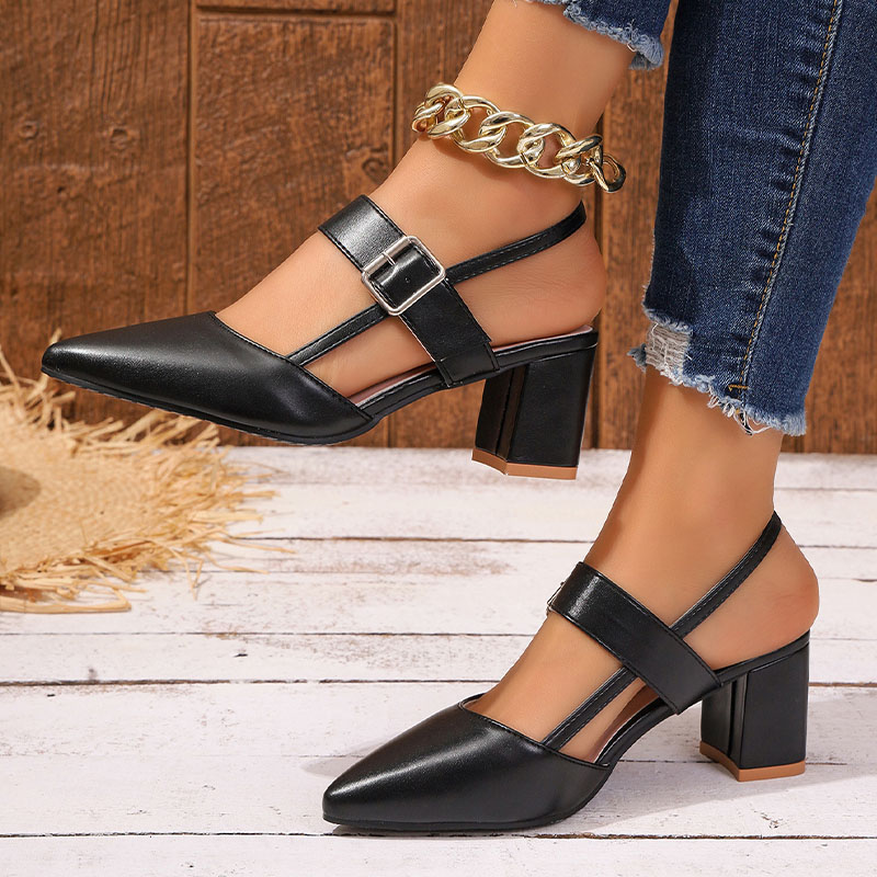 Shoeswoon Pointed Toe Ankle Strap Slingback Block Heel Pumps