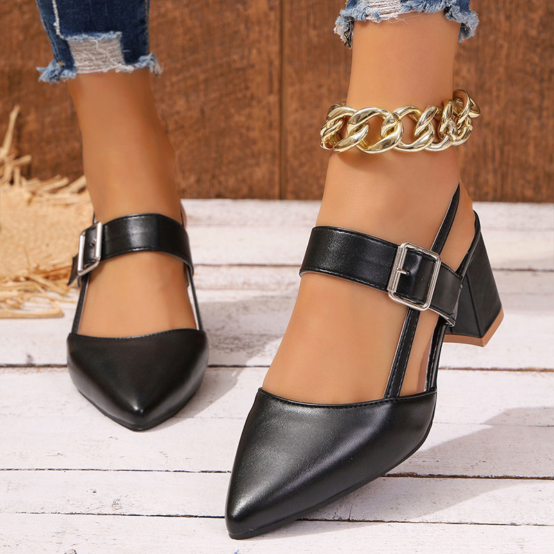 Shoeswoon Pointed Toe Ankle Strap Slingback Block Heel Pumps