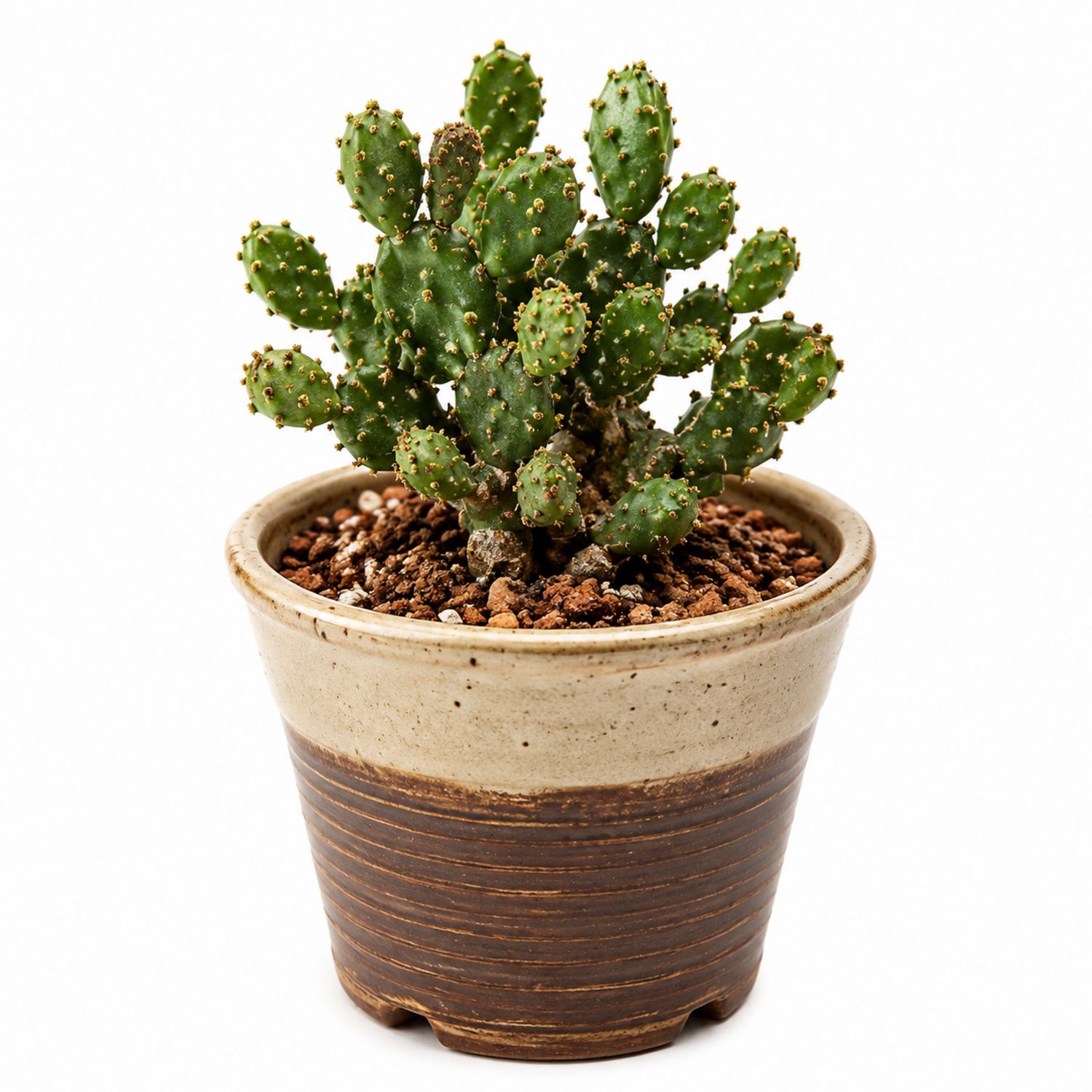 Cactus décoratif en pot céramique vert/marron 12x18 cm