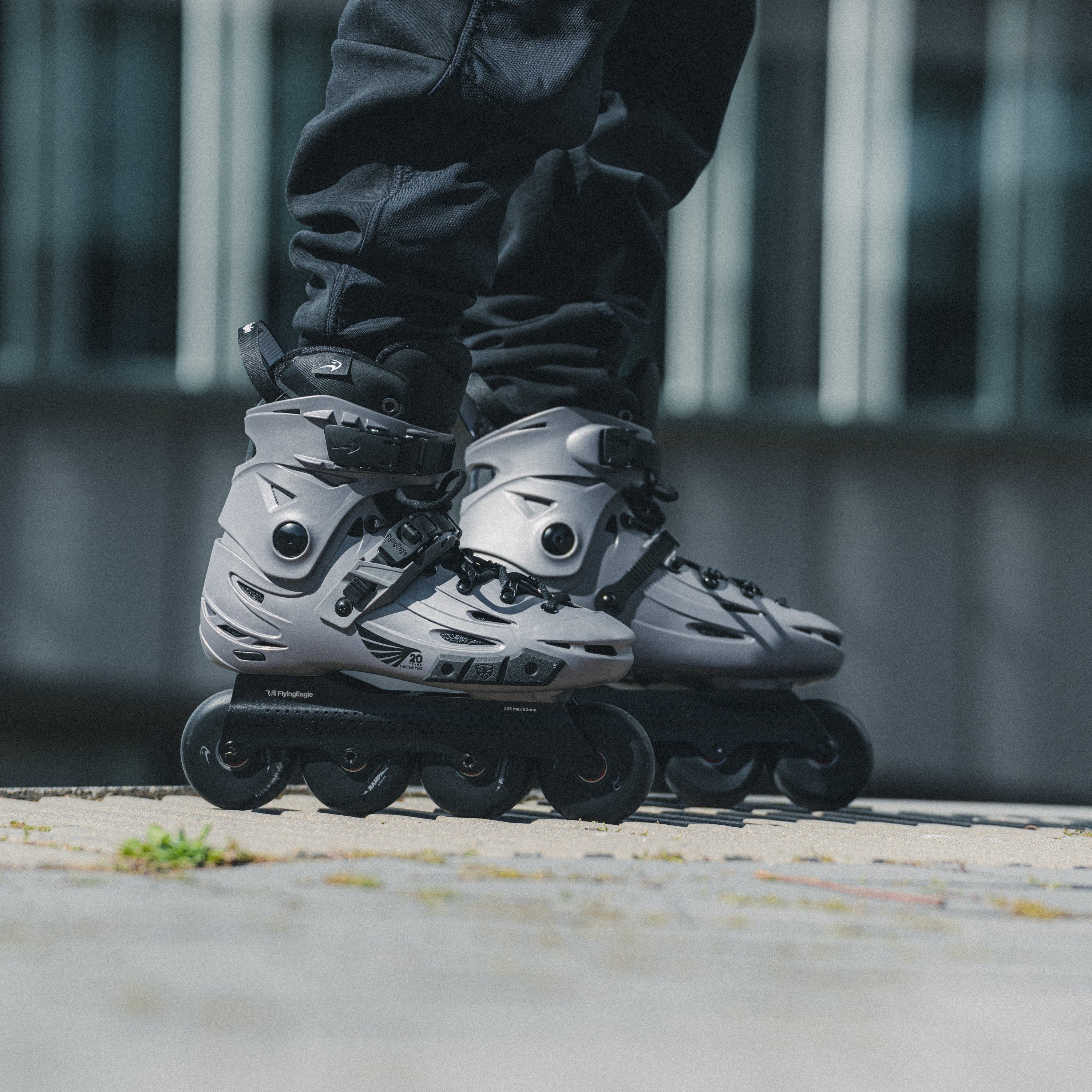 FlyingEagle FALCON Pro 20th Anniversary Urban Inline Skate