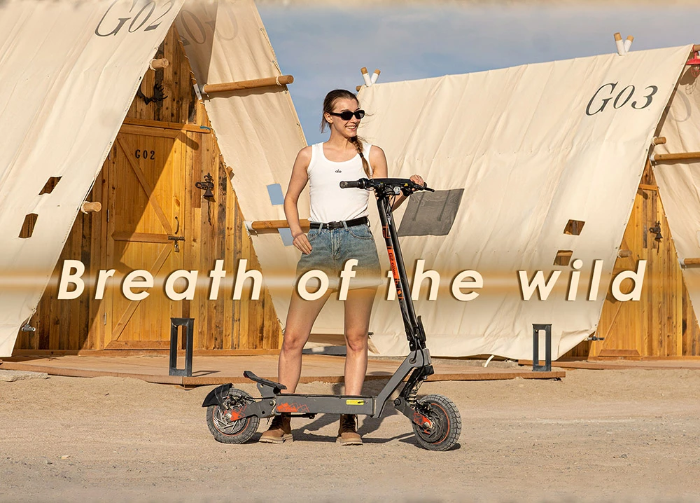 KuKirin G2 Ultra Folding Electric Scooter, 800W*2 Motor, 48V 18Ah Battery, 10 inch Tires, 50km/h Max Speed, 55km Max Range, Front & Rear Disc Brake, Front & Rear Spring Shock Absorbers