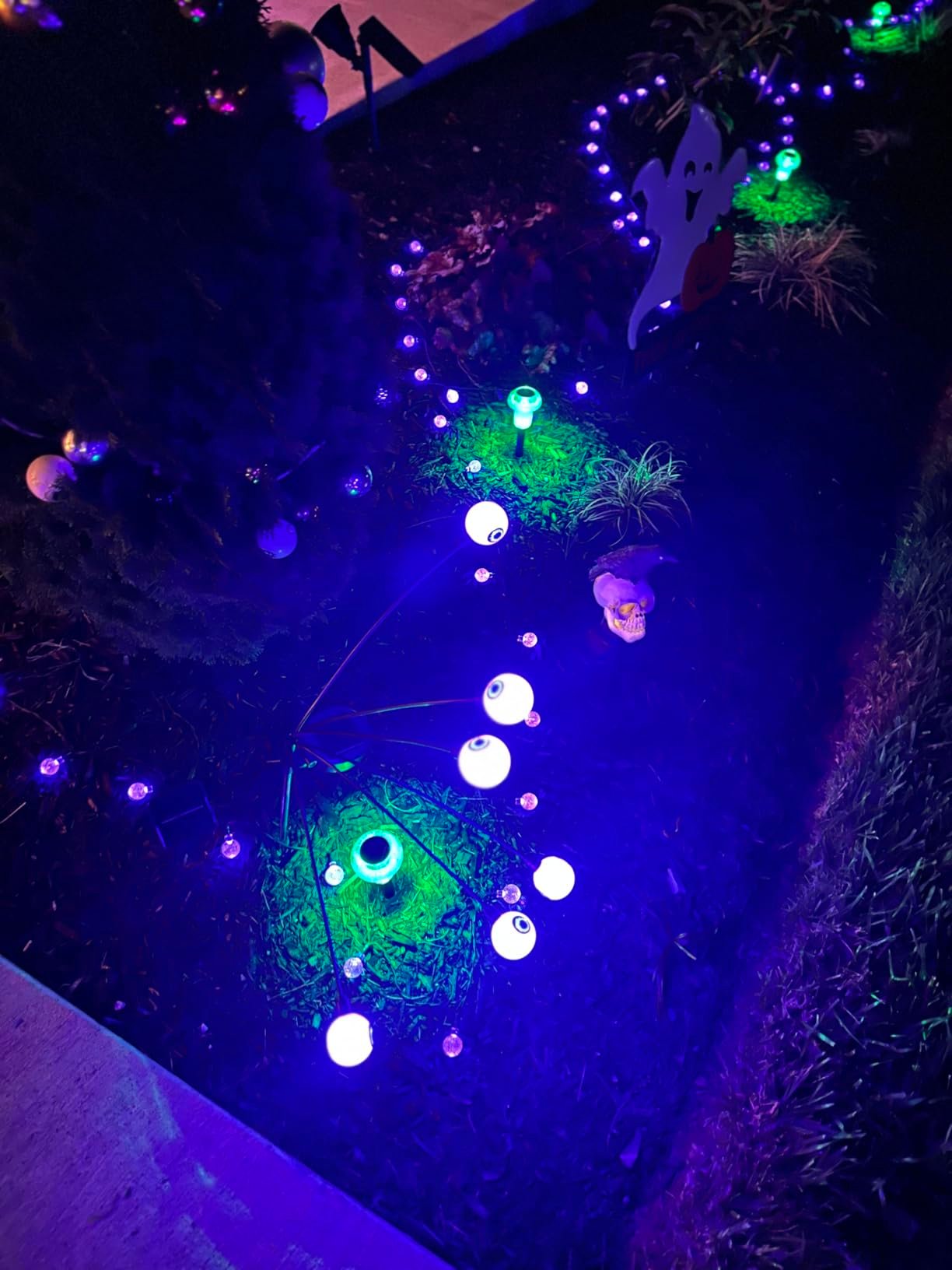 Amazing lights for Halloween