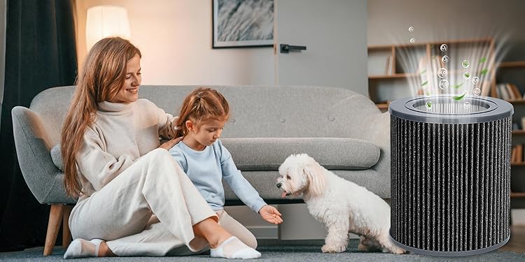 Filters Compatible with Molekule Air Mini