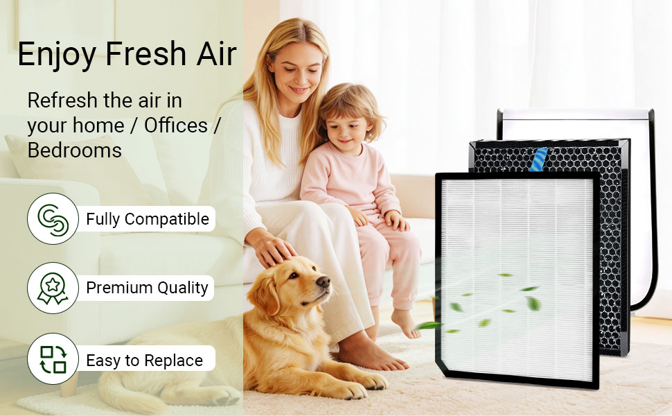 Filter Replacement fresh air
