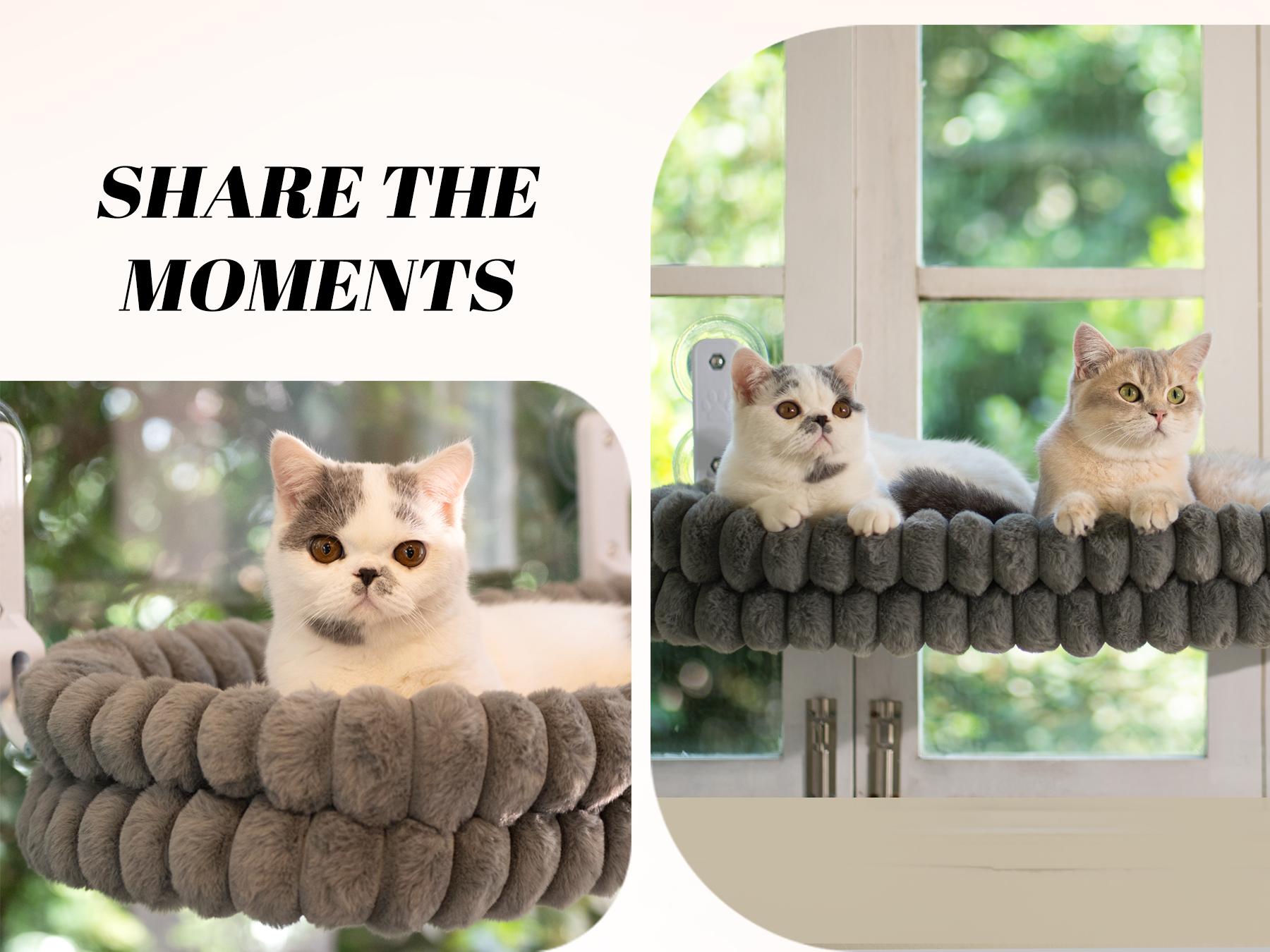 Folding Cat Hammock for Window - Cordless, Machine Washable Bed, Robust Metal Frame, Strong Suction Cups，Cat Window Perch for Cats and Small Dogs  #DealsForYouDays
