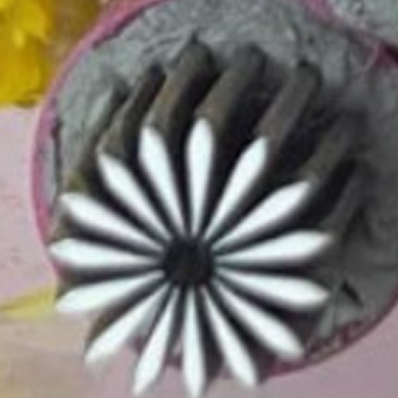 📢📢40% OFF !! ⏰Professional Nail Art Stamping Tool Kit