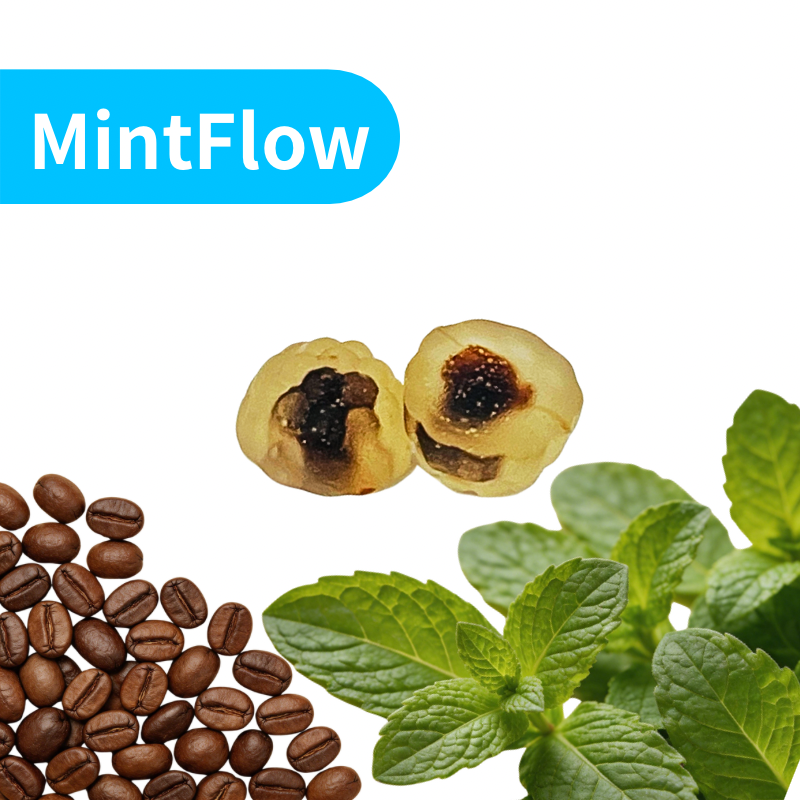 Mint Flow Dopamine Gummies | Strong Mint 3-Minute Fast Focus | 6H Sustained Clarity | Neuro-Blend Boosts Mental Speed & Mood Balance for Brain Support