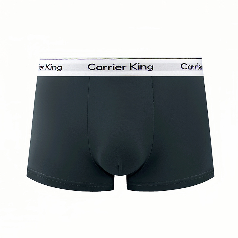 Carrier King Underwear Set - four pieces