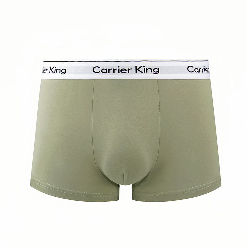Carrier King Underwear Set - four pieces