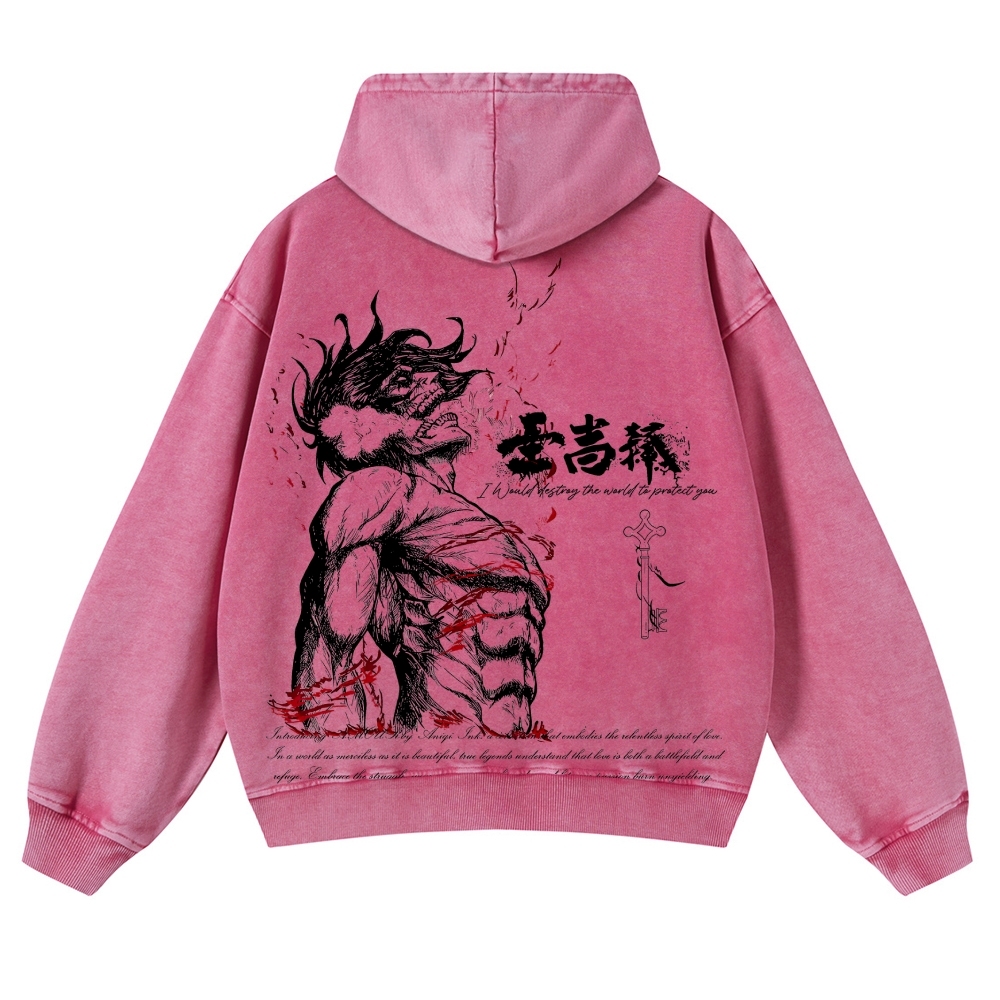 AOT Titan Casual Washed Hoodies 2506023916