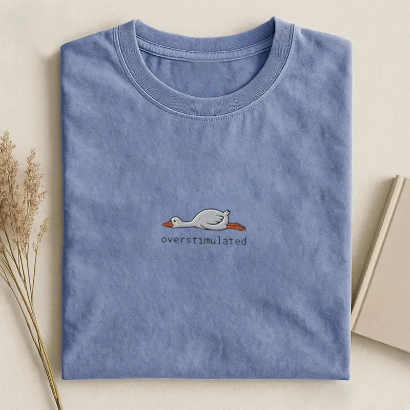 Silly Goose Overstimulated Embroidered T-Shirt Light Blue
