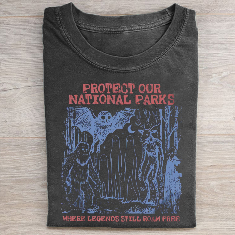 Cryptid National Parks T-Shirt Dark Grey