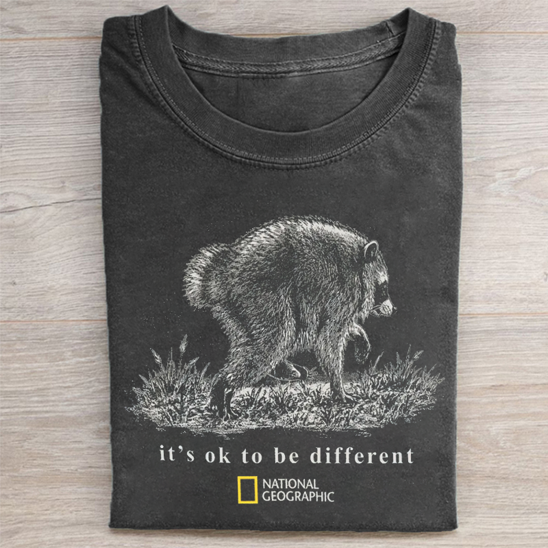 Jimothy Raccoon T-Shirt Dark Grey