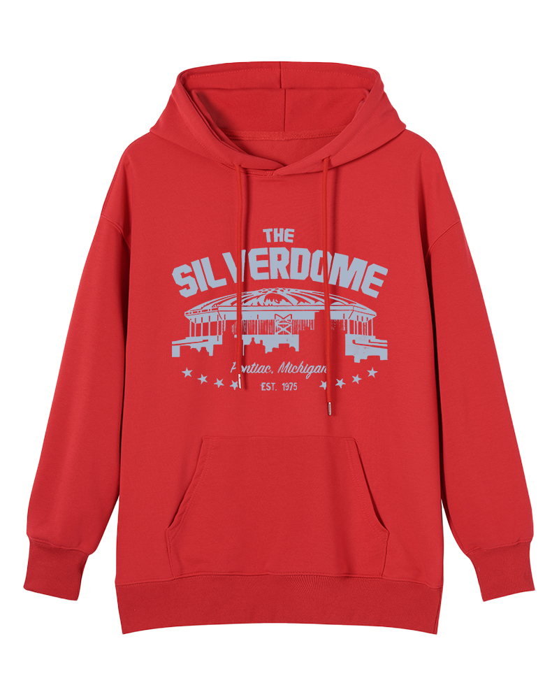 Silverdome Cotton Hoodie image 6