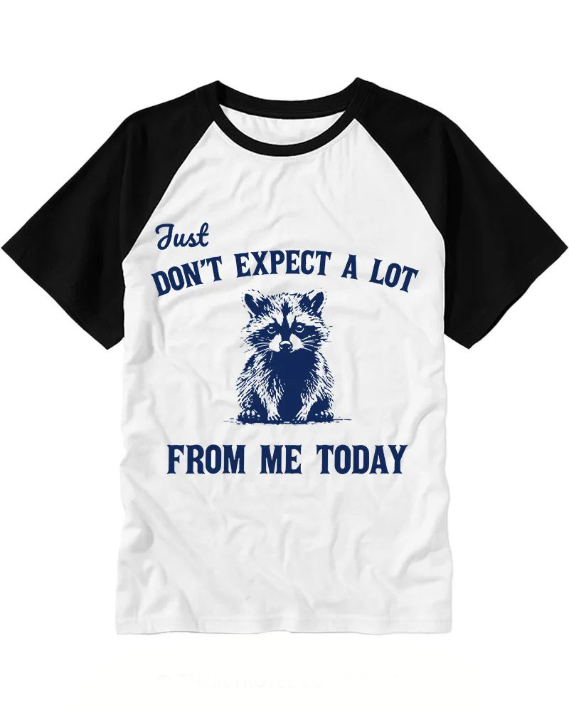 Retro Blue Sketch Raccoon Raglan Tee