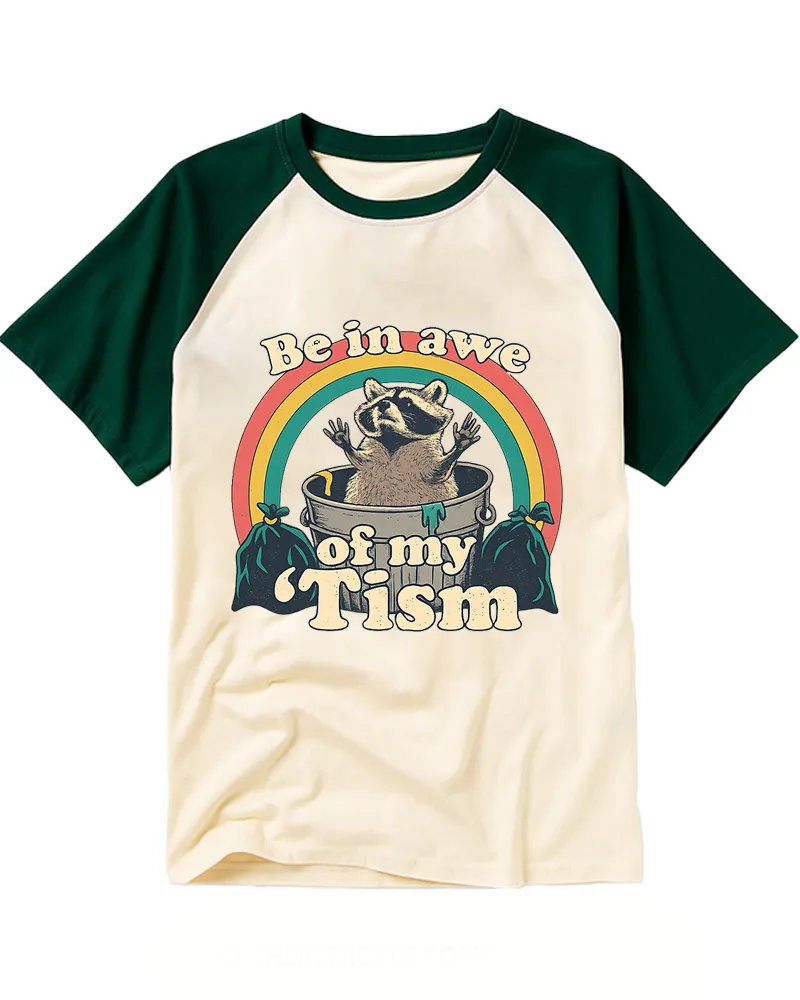 Retro Raccoon Rainbow Raglan Tee