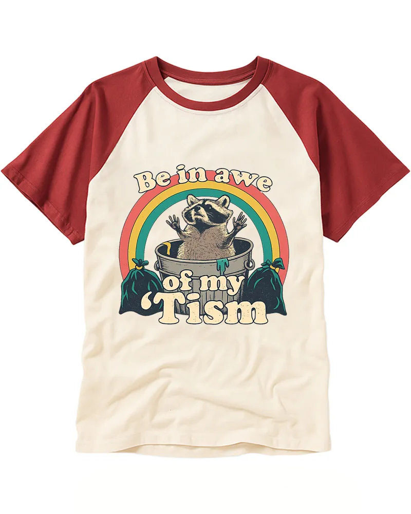 Retro Raccoon Rainbow Raglan Tee