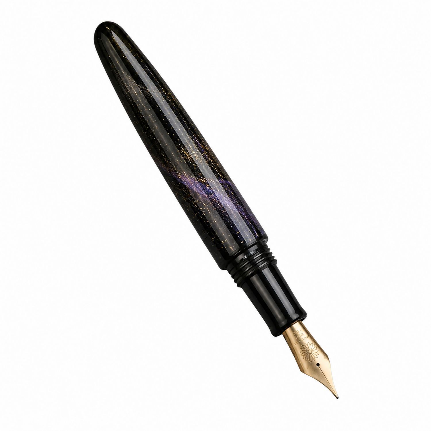 Stylo plume noir pailleté avec plume dorée