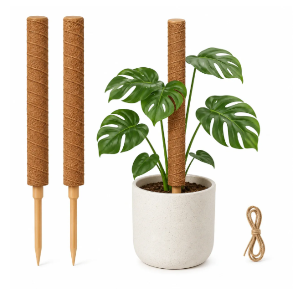 Garten & Pflanzenpflege