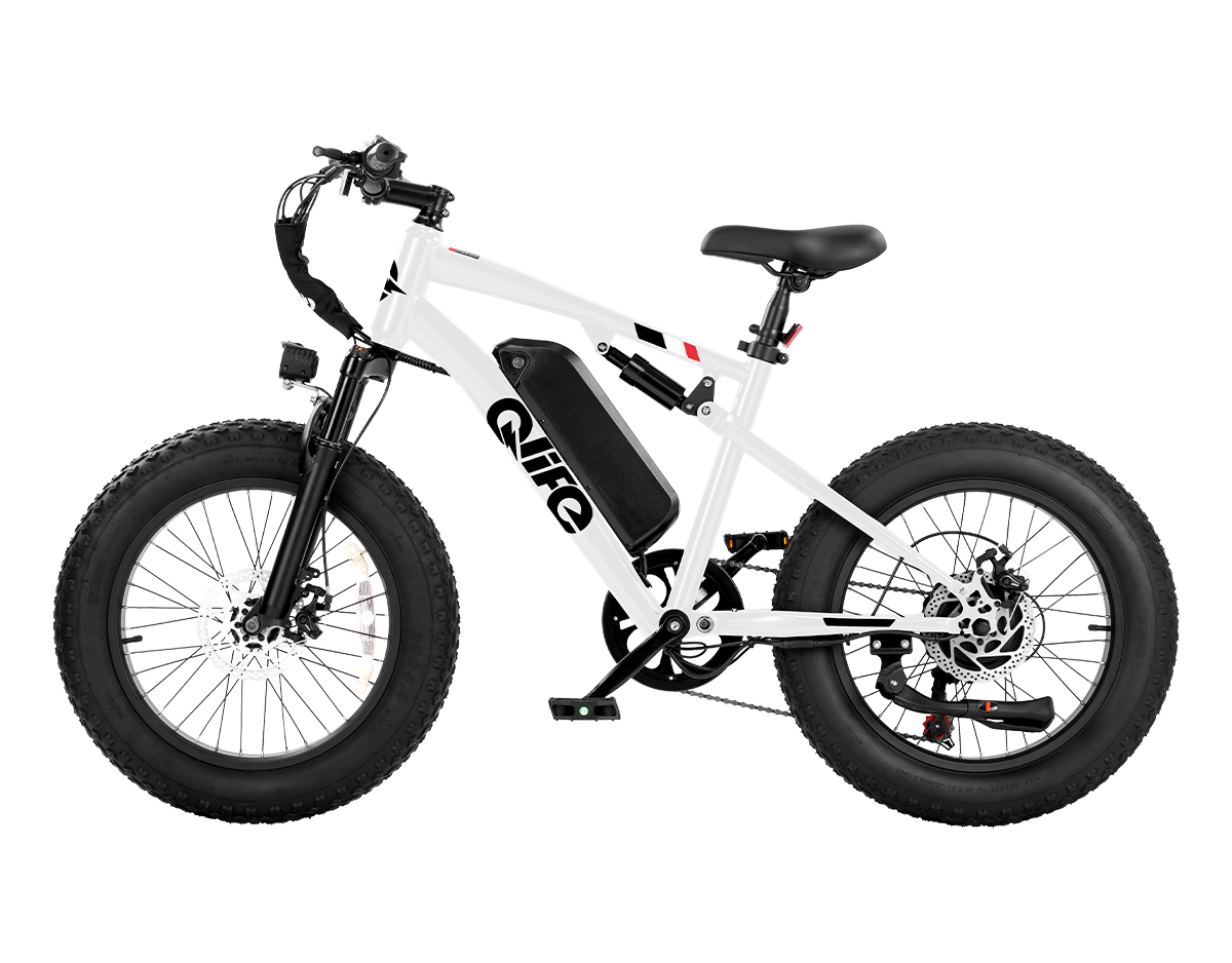Racer 2.0 20x4.0 Fat Tire Electric Bike, 48V 750W Peak 1200W Adult Beach Snow E-Bike US Wholesale MOQ 1-Qlife Bike Wholesale | US E-Bike Distributor