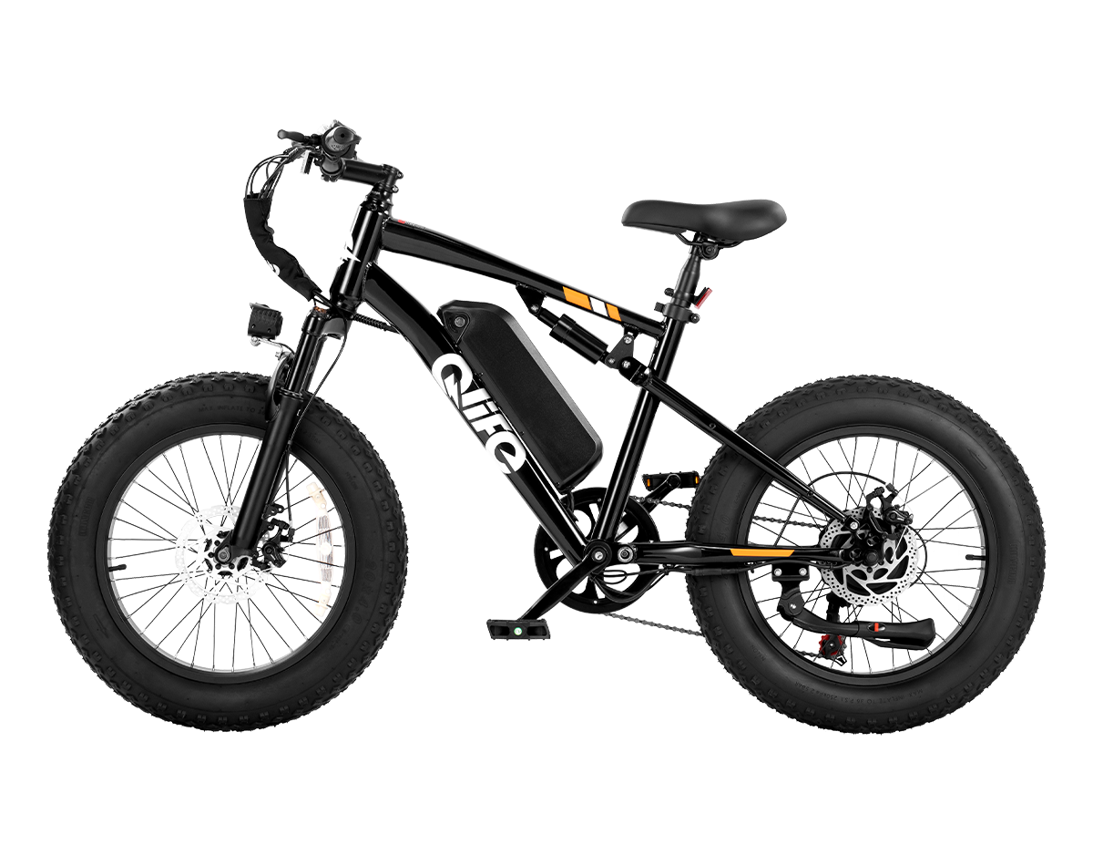 Racer 2.0 20x4.0 Fat Tire Electric Bike, 48V 750W Peak 1200W Adult Beach Snow E-Bike US Wholesale MOQ 1