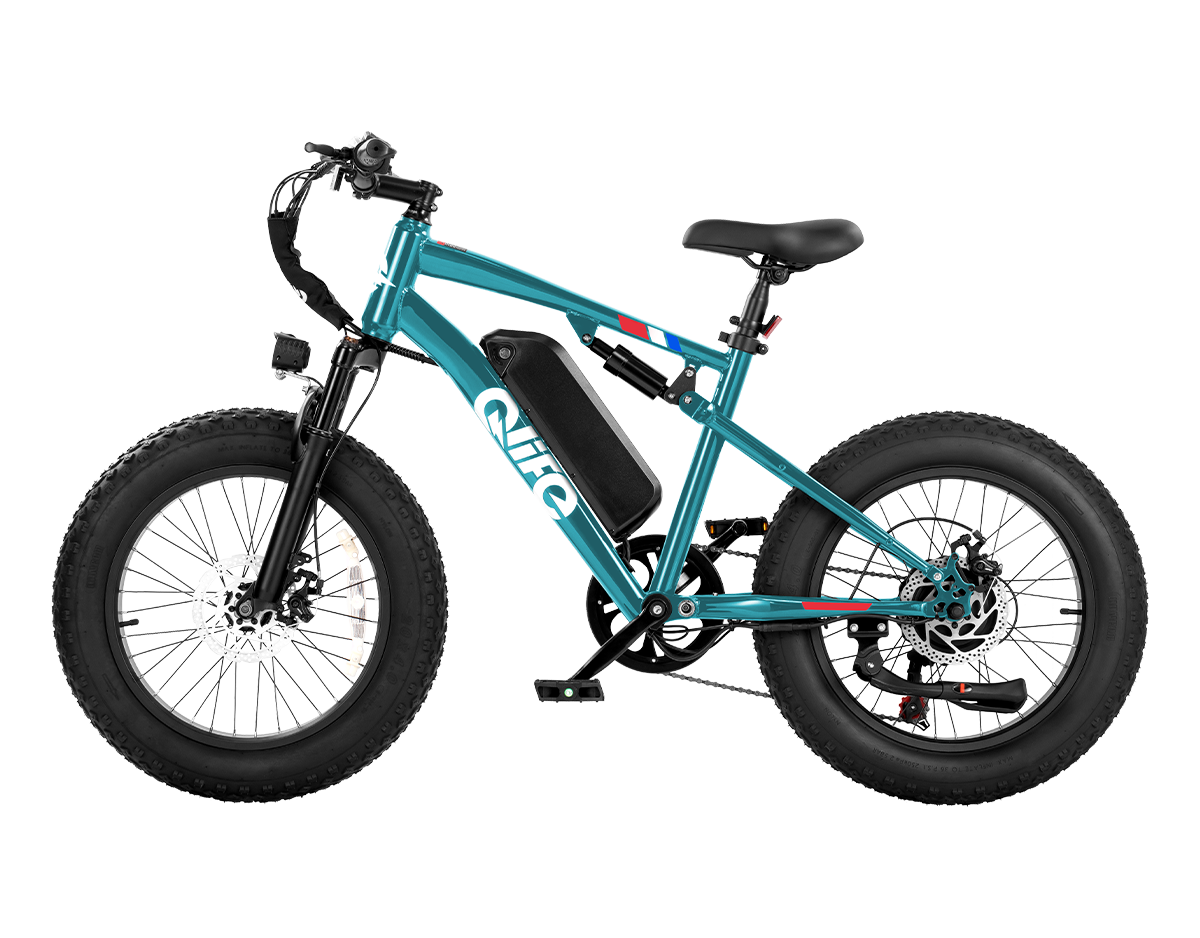 Racer 2.0 20x4.0 Fat Tire Electric Bike, 48V 750W Peak 1200W Adult Beach Snow E-Bike US Wholesale MOQ 1