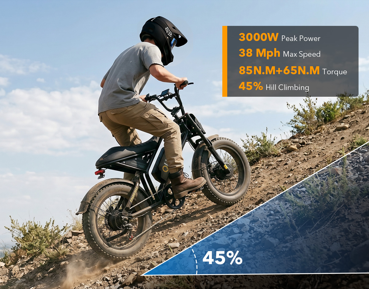 Spark Max 20x4.0 Fat Tire Dual Motor E-Bike, Peak 2400W Hydraulic Brake Off-Road Moped E-Bike, US Warehouse Wholesale MOQ 1-Qlife Bike Wholesale | US E-Bike Distributor