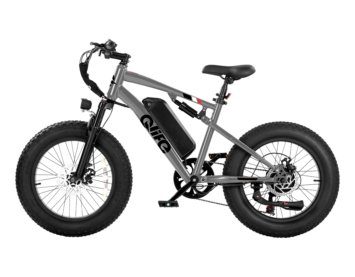 Racer 2.0 20x4.0 Fat Tire Electric Bike, 48V 750W Peak 1200W Adult Beach Snow E-Bike US Wholesale MOQ 1