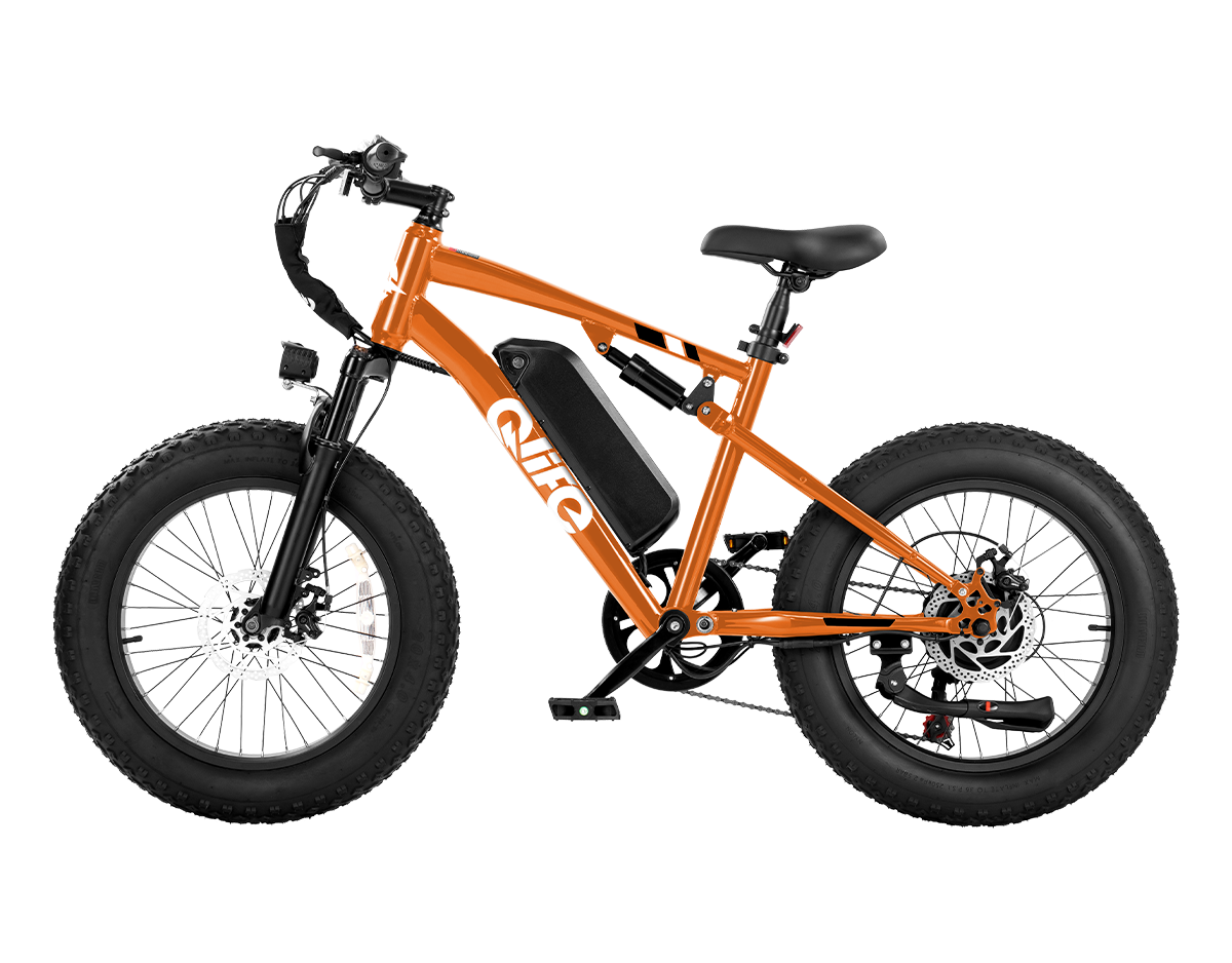 Racer 2.0 20x4.0 Fat Tire Electric Bike, 48V 750W Peak 1200W Adult Beach Snow E-Bike US Wholesale MOQ 1