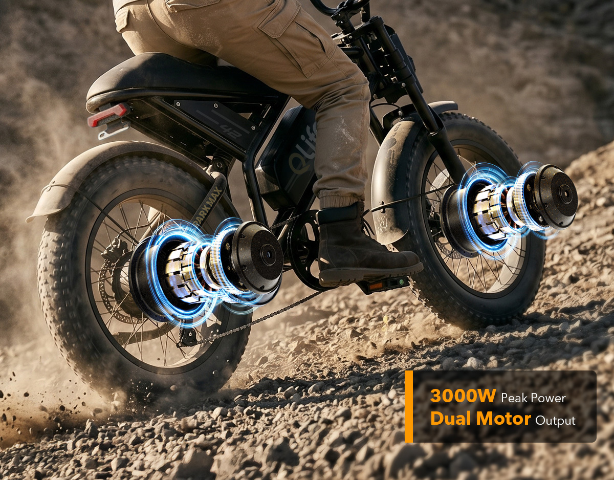 3000W Peak Power Dual Motor AWD System