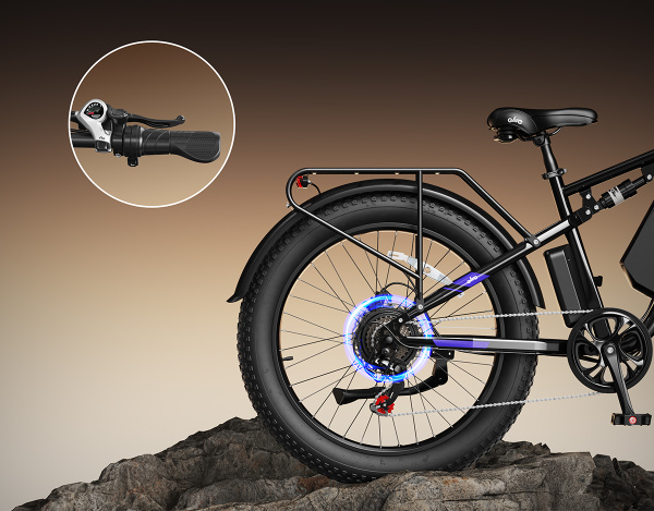 Racer Max derailleur details