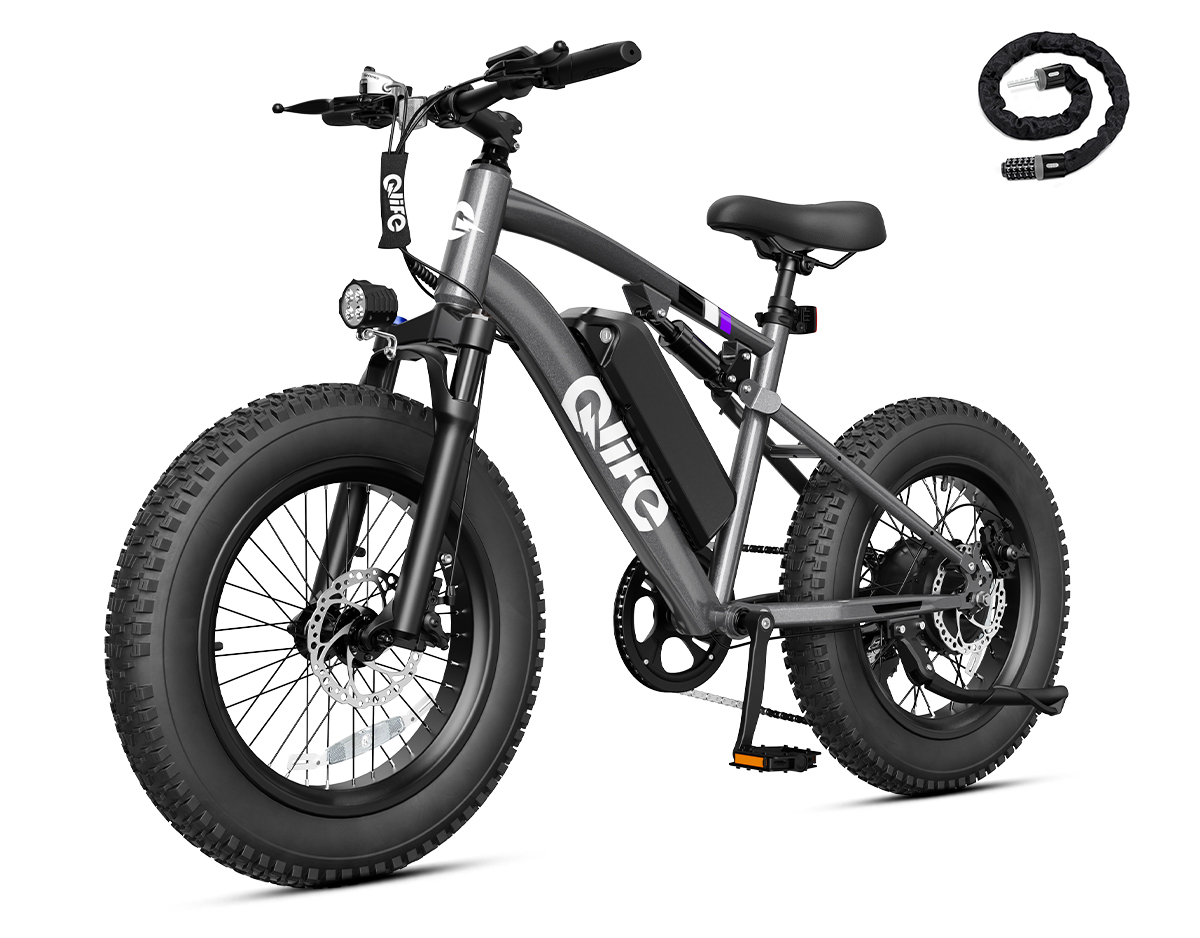 Racer 2.0 20x4.0 Fat Tire Electric Bike, 48V 750W Peak 1200W Adult Beach Snow E-Bike US Wholesale MOQ 1