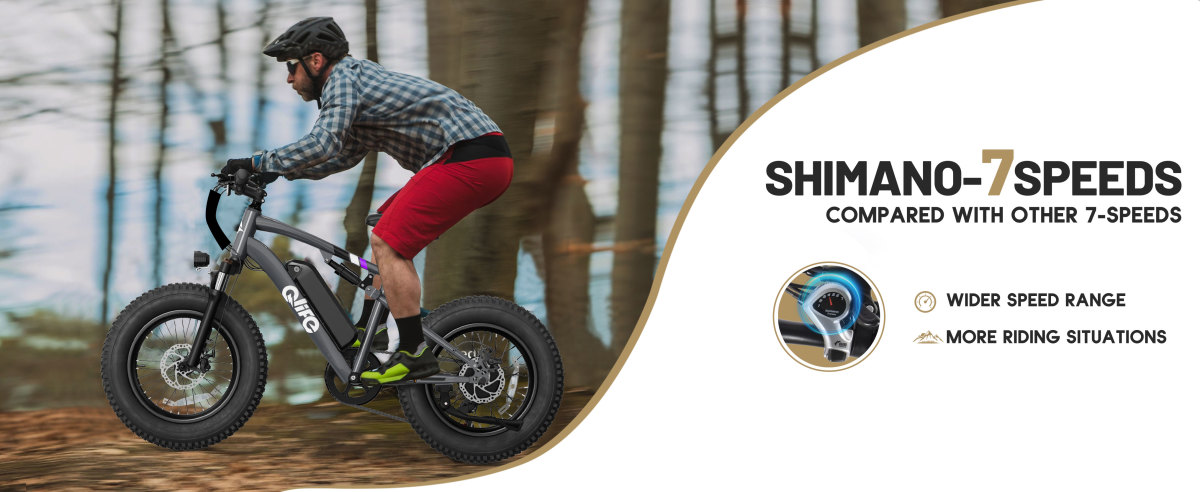 Racer Fat Tire 2.0 Shimano 7-Speed Gear Drivetrain