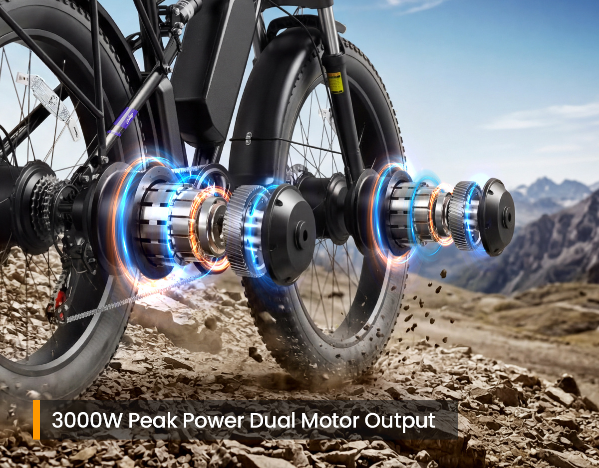 Racer Max 3000W Peak Power Dual Motor Output Detail