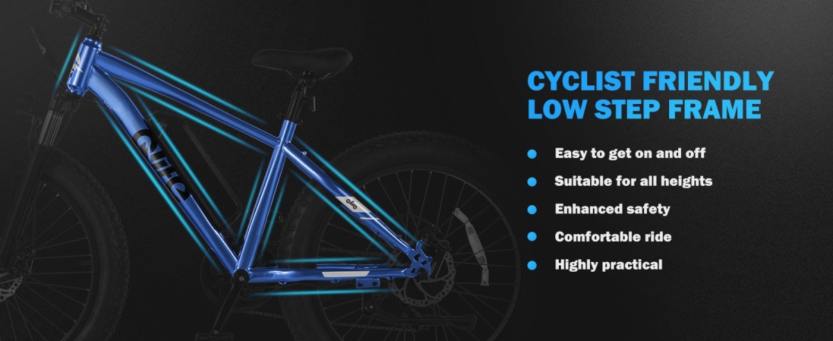 Racer Plus Low Step Frame