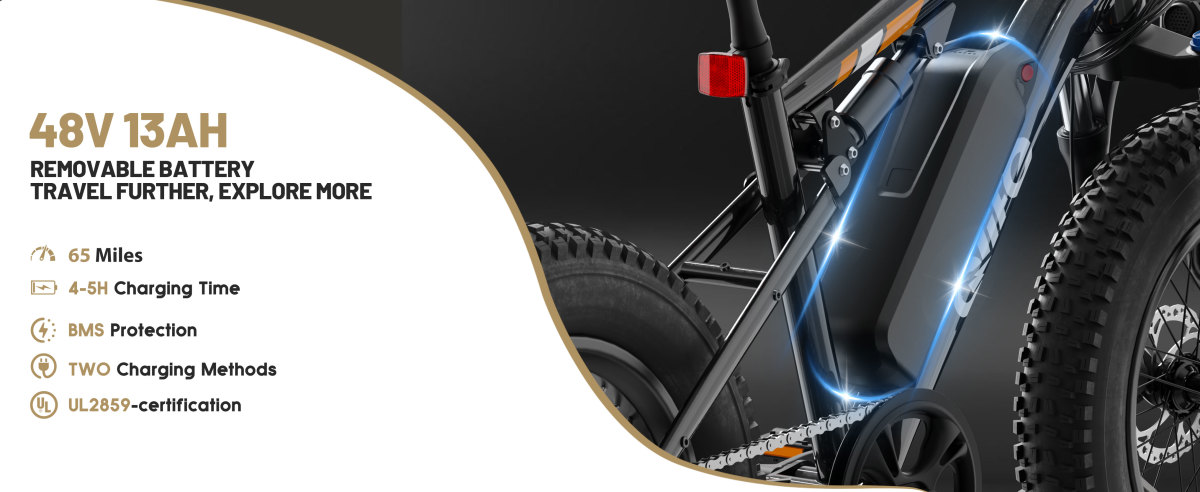 Racer Fat Tire 2.0 Removable High Capacity Battery