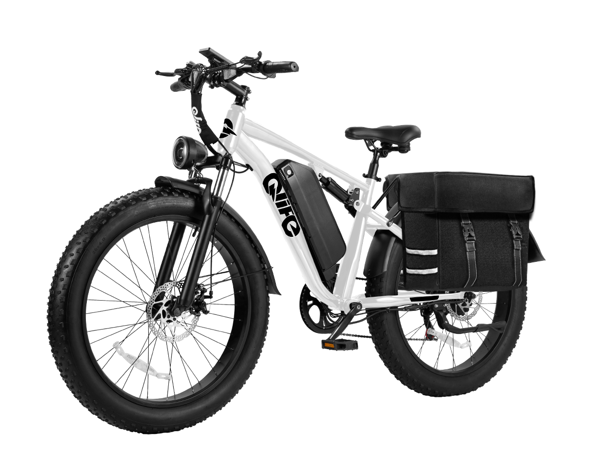 Racer Plus 2.0 26x4.0 Fat Tire Electric Bike, 48V 750W Adult Beach Snow E-Bike US Wholesale MOQ 1
