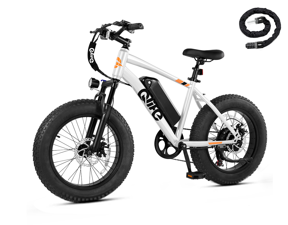 Qlife Racer Fat Tire Electric Bike, 48V 750W Adult Beach Snow E-Bike US Wholesale MOQ 1