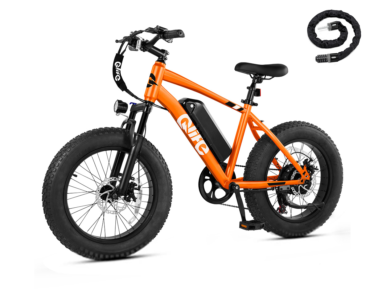 Qlife Racer Fat Tire Electric Bike, 48V 750W Adult Beach Snow E-Bike US Wholesale MOQ 1