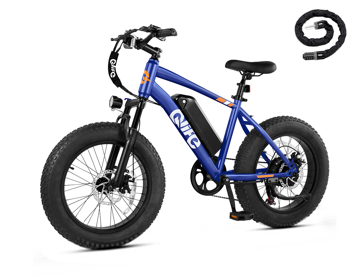 Qlife Racer Fat Tire Electric Bike, 48V 750W Adult Beach Snow E-Bike US Wholesale MOQ 1