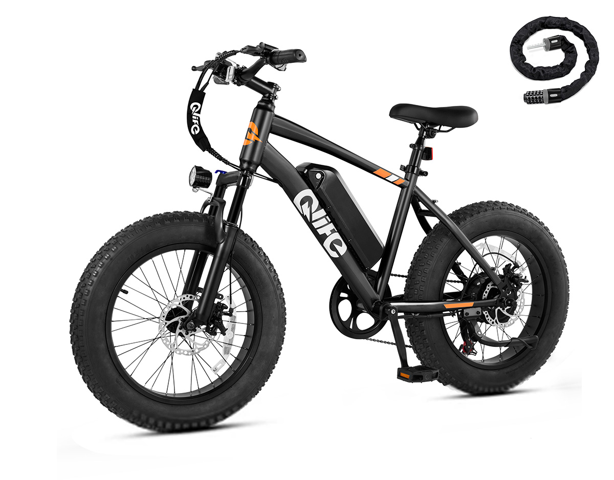 Qlife Racer Fat Tire Electric Bike, 48V 750W Adult Beach Snow E-Bike US Wholesale MOQ 1