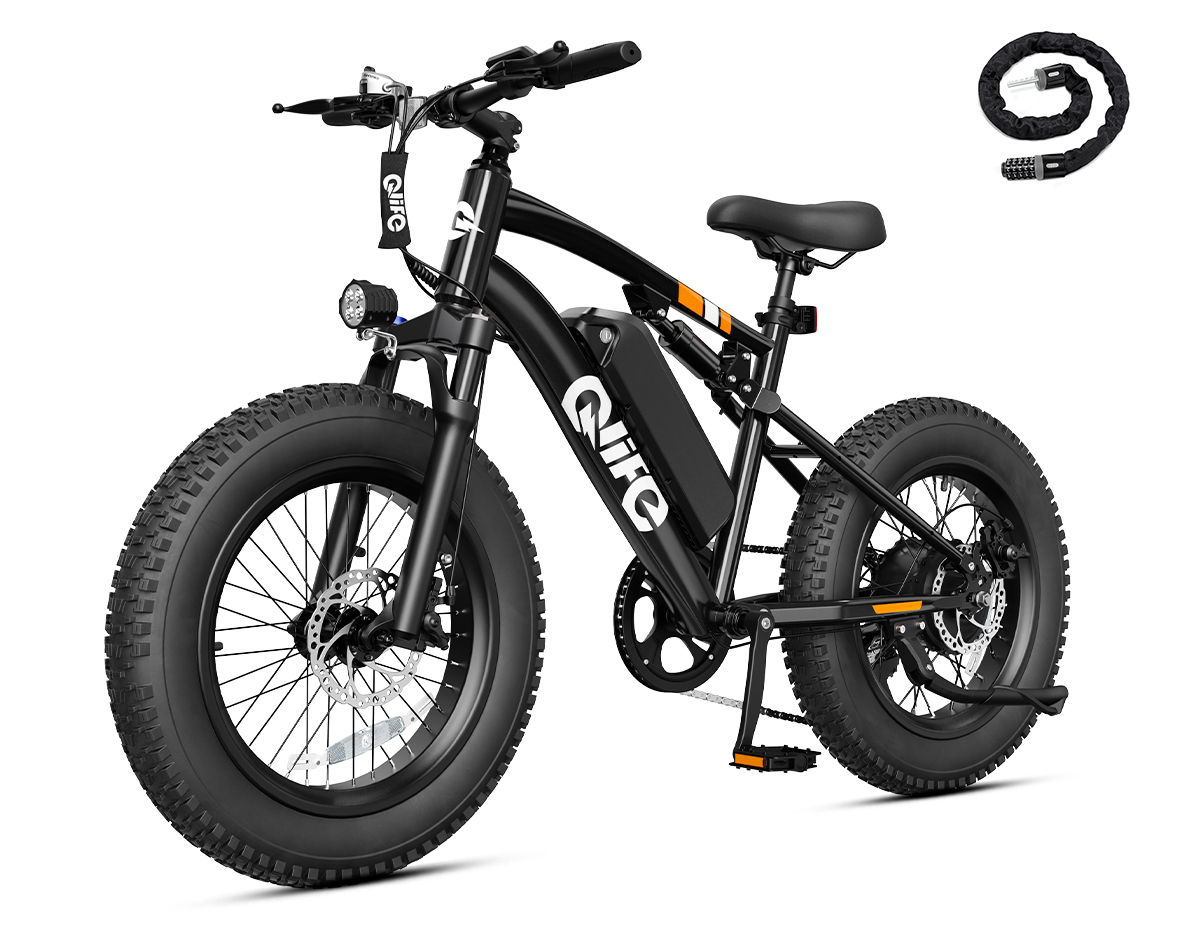 Racer 2.0 20x4.0 Fat Tire Electric Bike, 48V 750W Peak 1200W Adult Beach Snow E-Bike US Wholesale MOQ 1