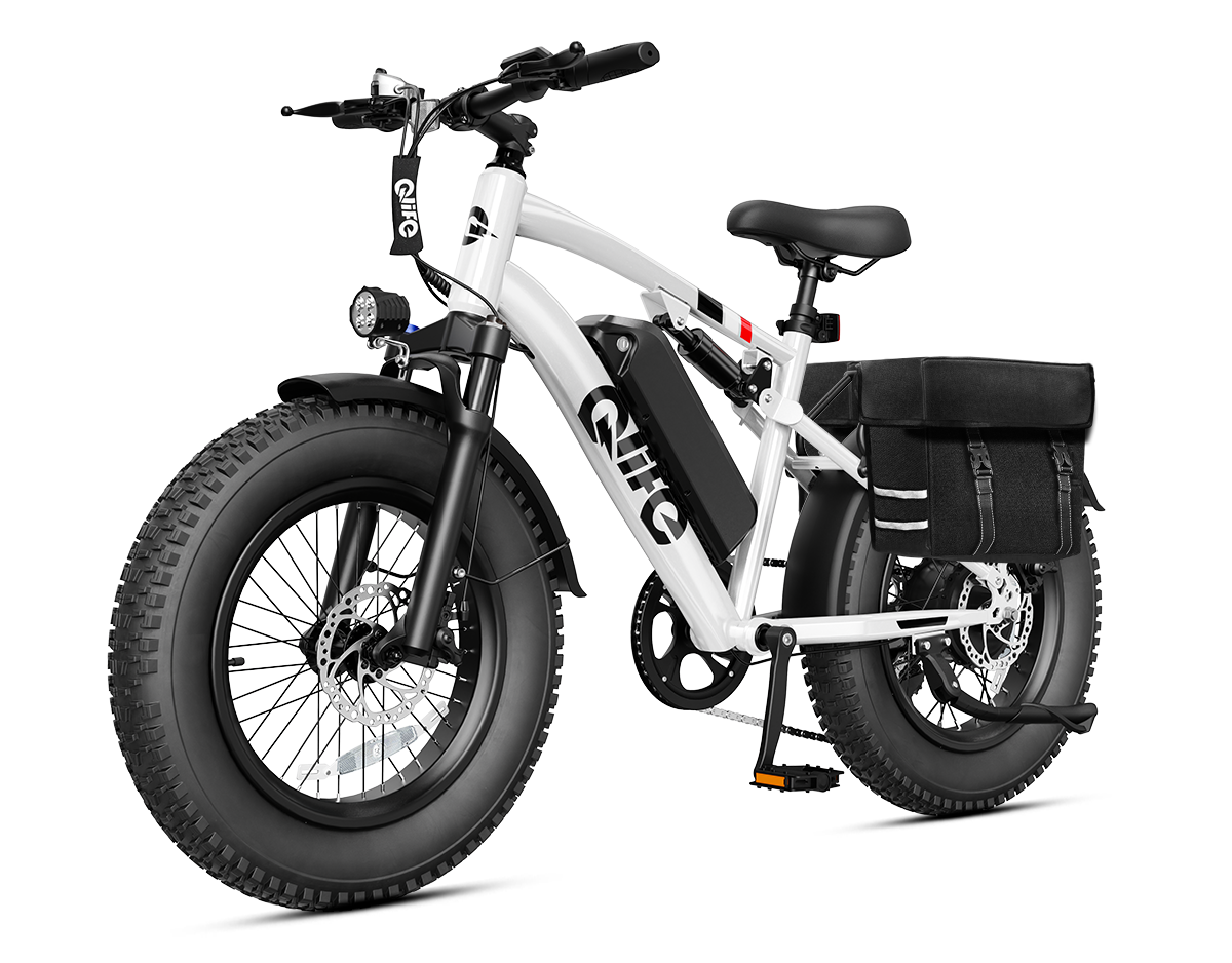 Racer 2.0 20x4.0 Fat Tire Electric Bike, 48V 750W Peak 1200W Adult Beach Snow E-Bike US Wholesale MOQ 1