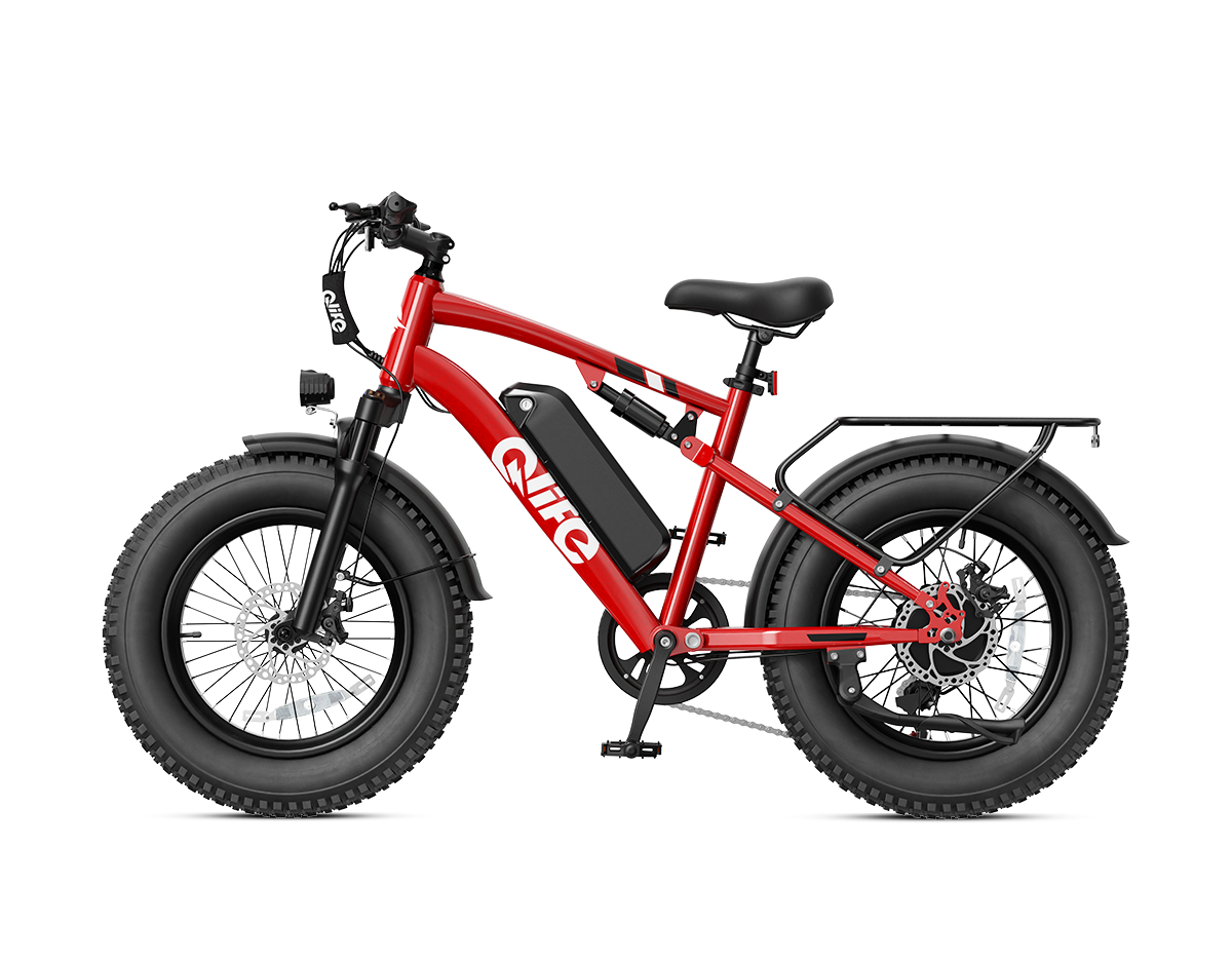 Racer 2.0 20x4.0 Fat Tire Electric Bike, 48V 750W Peak 1200W Adult Beach Snow E-Bike US Wholesale MOQ 1