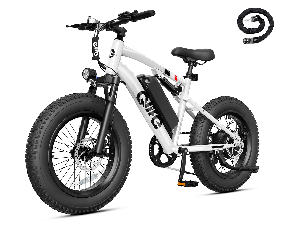 Racer 2.0 20x4.0 Fat Tire Electric Bike, 48V 750W Peak 1200W Adult Beach Snow E-Bike US Wholesale MOQ 1