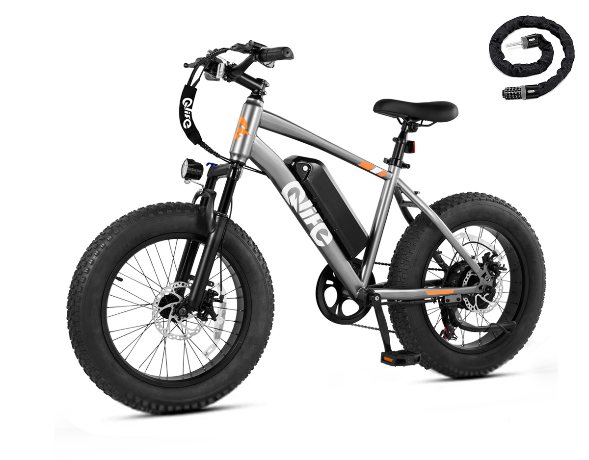 Qlife Racer Fat Tire Electric Bike, 48V 750W Adult Beach Snow E-Bike US Wholesale MOQ 1