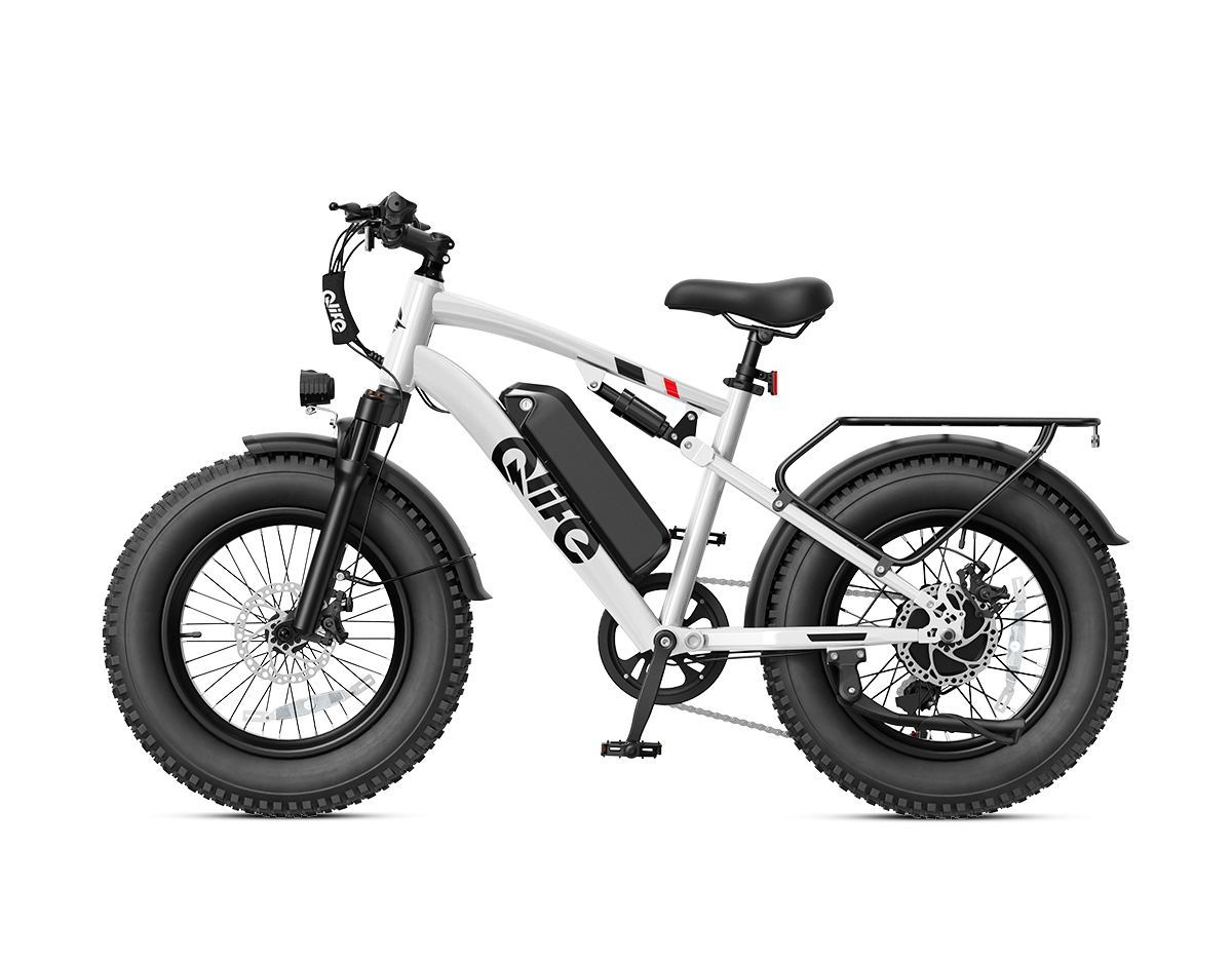 Racer 2.0 20x4.0 Fat Tire Electric Bike, 48V 750W Peak 1200W Adult Beach Snow E-Bike US Wholesale MOQ 1