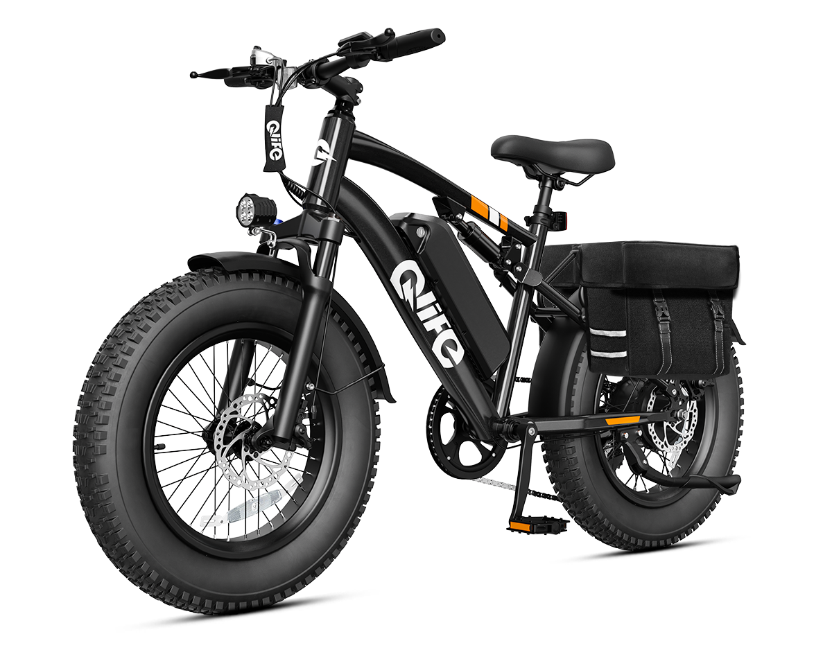 Racer 2.0 20x4.0 Fat Tire Electric Bike, 48V 750W Peak 1200W Adult Beach Snow E-Bike US Wholesale MOQ 1