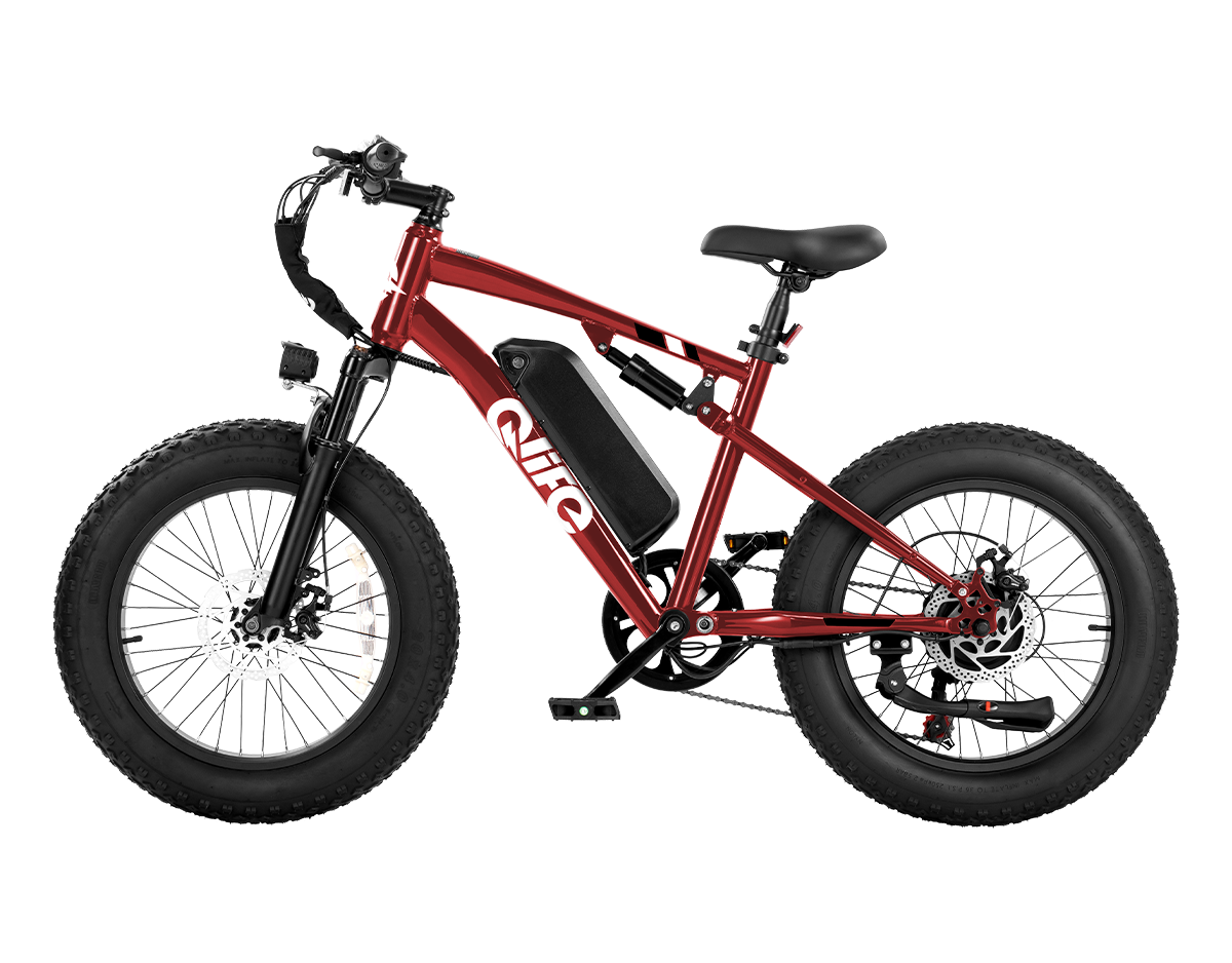 Racer 2.0 20x4.0 Fat Tire Electric Bike, 48V 750W Peak 1200W Adult Beach Snow E-Bike US Wholesale MOQ 1
